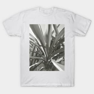 Yucca plant close up, black and white nature photography T-Shirt